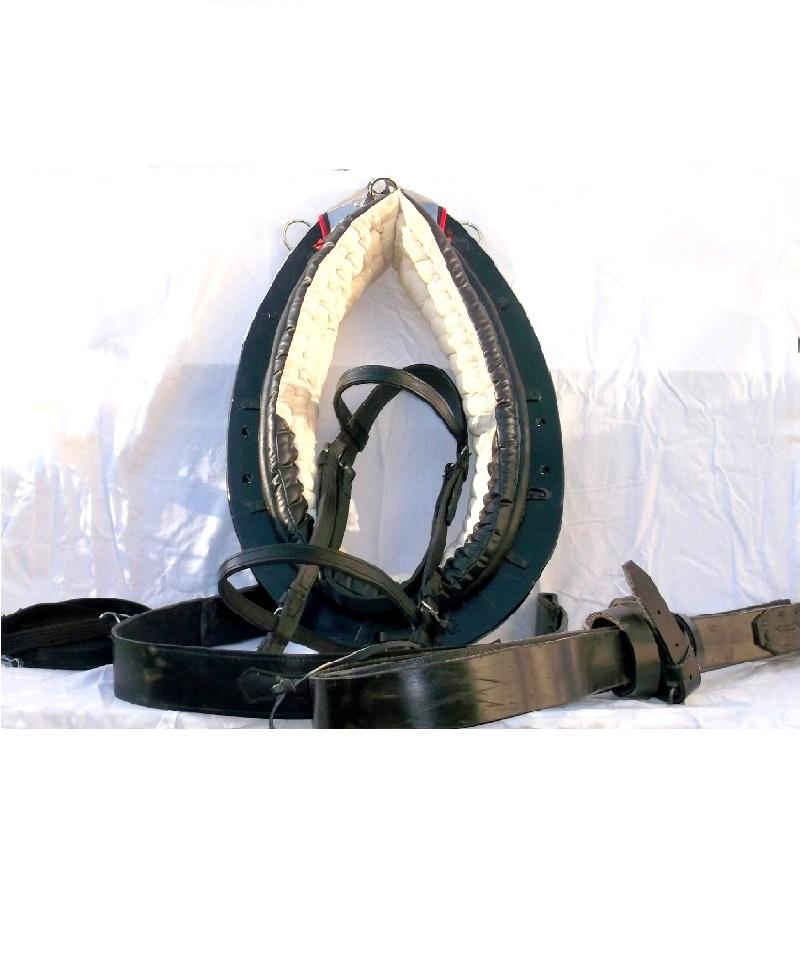 seqsi